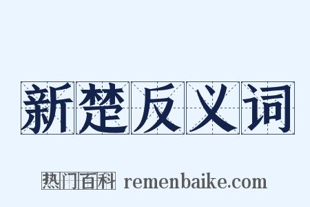 新楚反义词是什么意思的图片